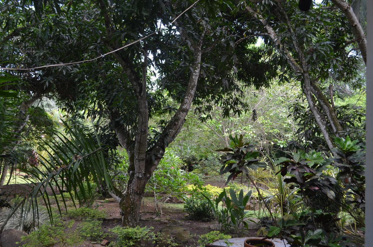 Amanwana Ecofinca Otel Melgar Dış mekan fotoğraf