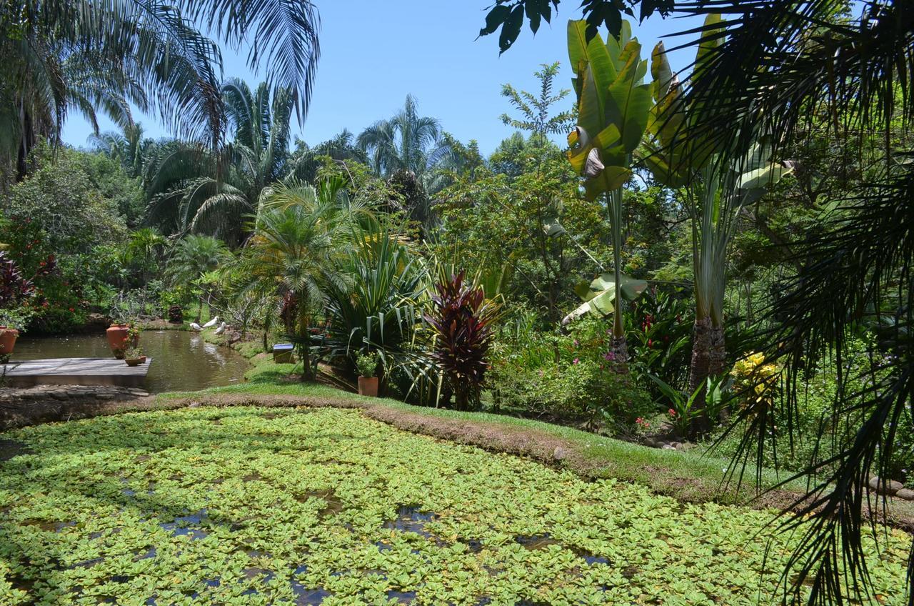 Amanwana Ecofinca Otel Melgar Dış mekan fotoğraf