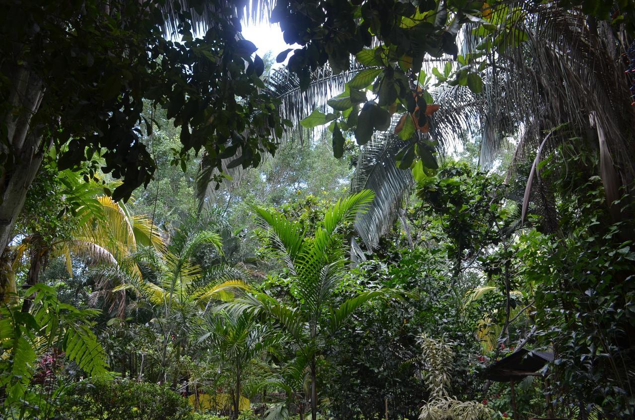 Amanwana Ecofinca Otel Melgar Dış mekan fotoğraf